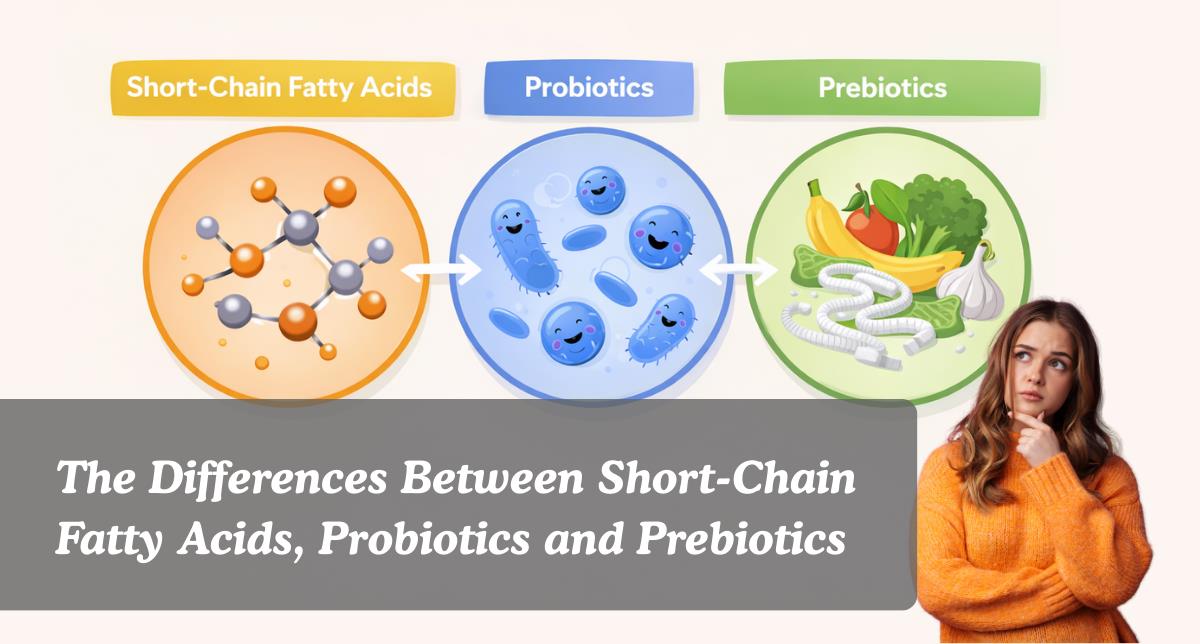 the-differences-between-short-chain-fatty-acids-probiotics-and-prebiotics - Pharm-Dx Malaysia